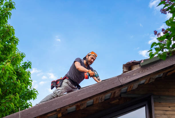 Best Roof Ventilation Installation  in Pilot Rock, OR